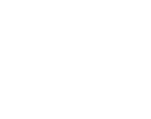 Tribe Paper Co. White Original Logo - Tallahassee